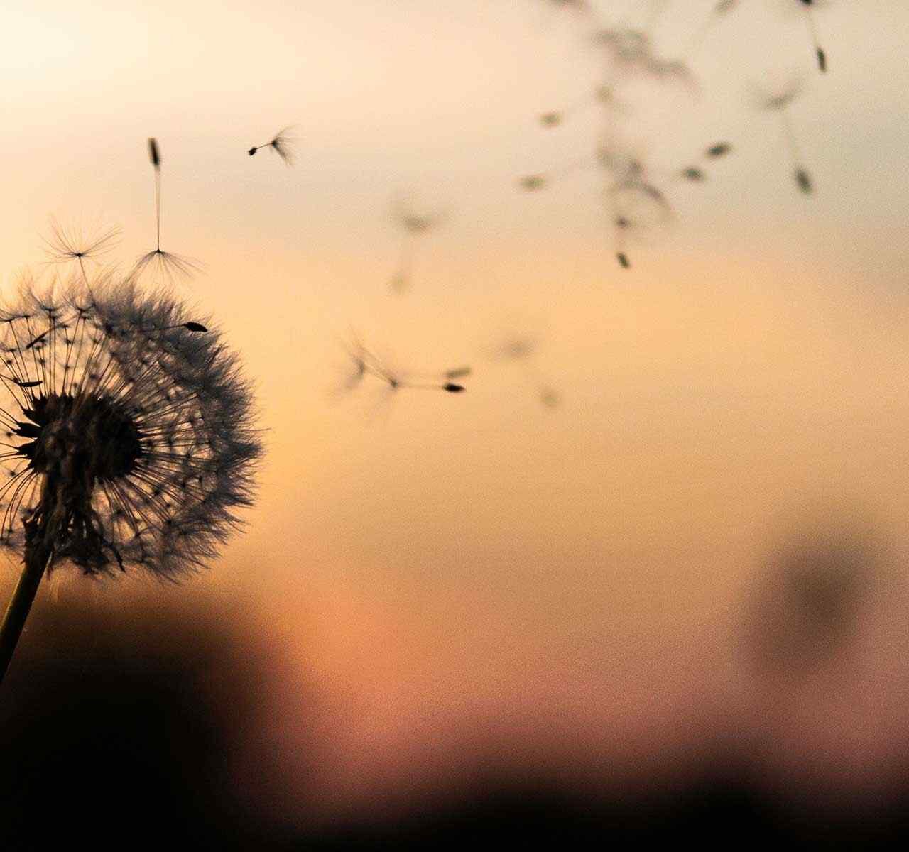 https://becerramanchinelly.com/wp-content/uploads/2018/09/post_02-1280x1200.jpg