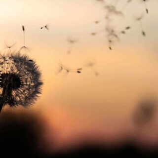 https://becerramanchinelly.com/wp-content/uploads/2018/09/post_02-320x320.jpg