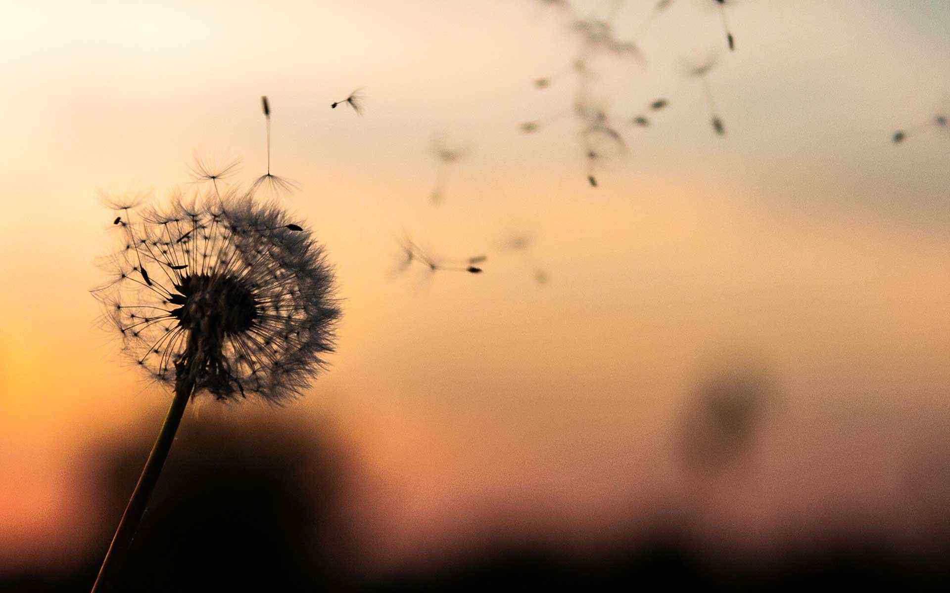 https://becerramanchinelly.com/wp-content/uploads/2018/09/post_02.jpg